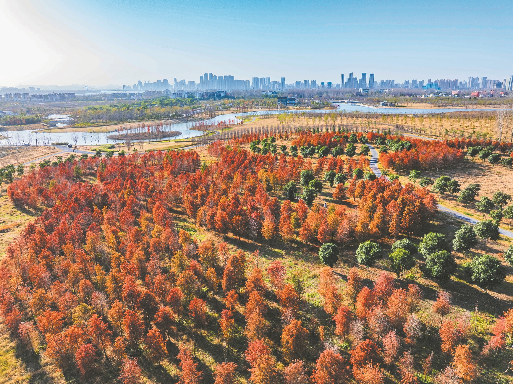 冬日鱼梁洲 生态美如画(1).jpg