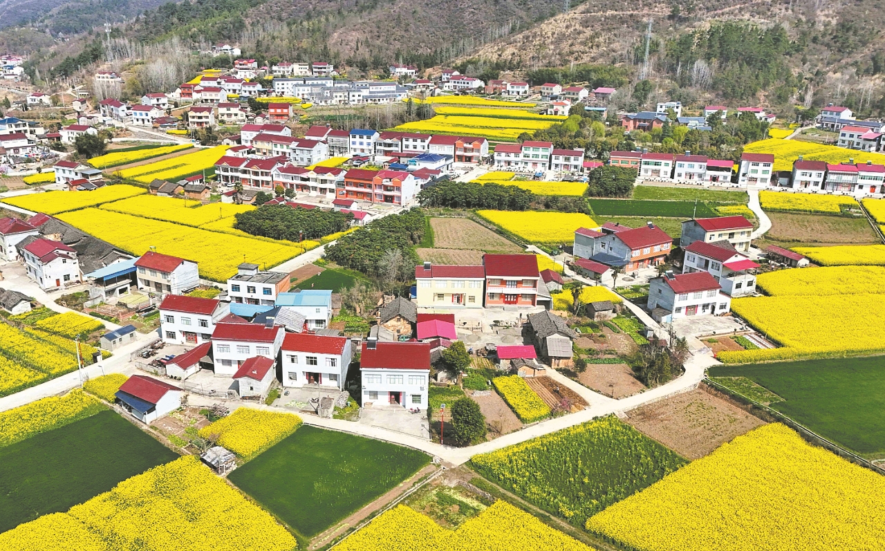襄阳日报-2026-03-24-07-保康-农旅融合促振兴(简图).jpg