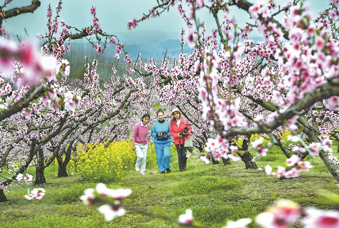 襄阳日报-2026-03-26-02-要闻-桃乡花海醉游人(简图).jpg