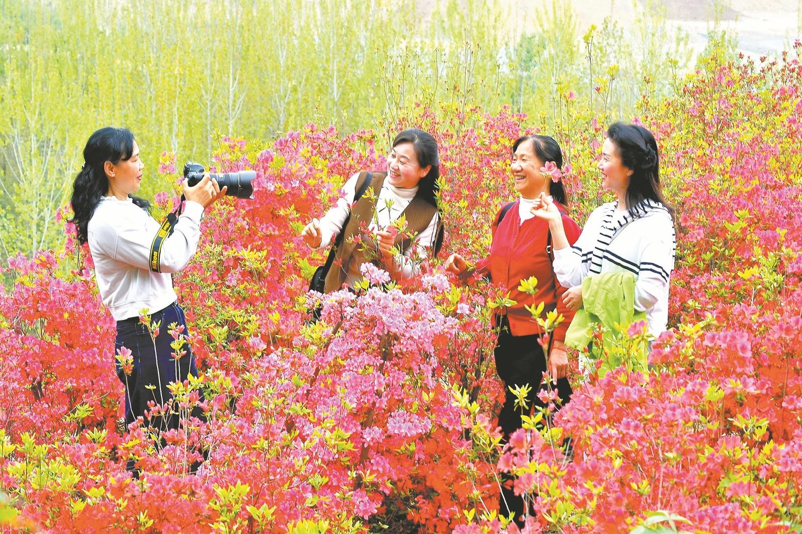 襄阳日报-2026-04-09-03-综合-杜鹃花海醉游人(简图).jpg